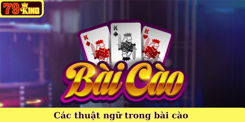 Các thuật ngữ trong bài cào