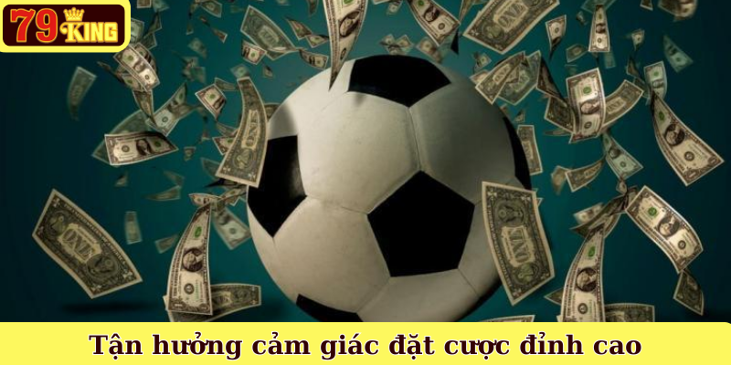 Tận hưởng cảm giác đặt cược đỉnh cao